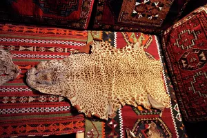 Kilim: Post from Bektashi Meydan