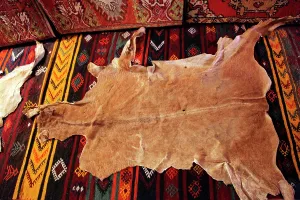 Kilim: Post from Bektashi Meydan