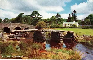 Abbot: Post Bridge, Postbridge Village, Devon