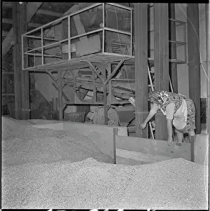 Volatile: Post-harvest line, grain pre-cleaner