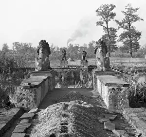Afforestation: Post-war era - Berlin Tiergarten 1950