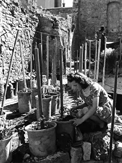 Sufficiency: Post-war era - Nutrition