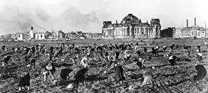 Gleaning: Post-war era - Starvation