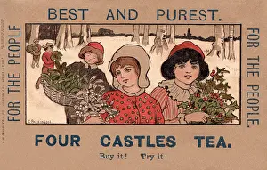 Sheaves: Postcard advertising Four Castles Tea