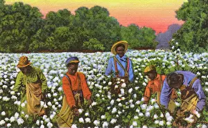 Dixie: Postcard booklet, workers in the cotton fields, USA