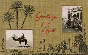 Pyramids: Postcard from Egypt