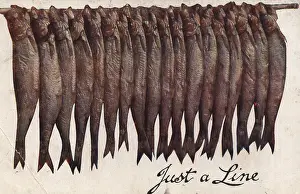 X100779: Postcards - 1908, humorous, postcard, graphic