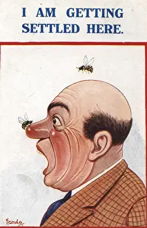 X100498: Postcards - 1934, humorous, postcard, wasp