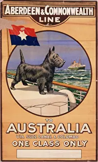 Scottie: Poster for Aberdeen & Commonwealth Line to Australia