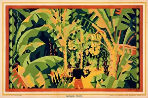 Bananas: Poster advertising Bananas