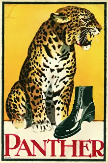 Panthers: A poster advertising Panther shoes