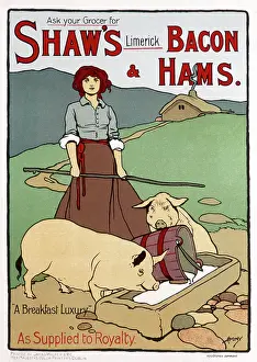 Limerick: Poster advertising Shaw's Bacon and Hams