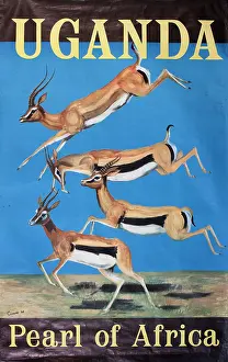 Springbok: Poster advertising trips to Uganda