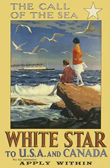 Seagulls: Poster advertising White Star to USA and Canada