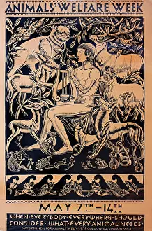 Lyre: Poster, Animals Welfare Week