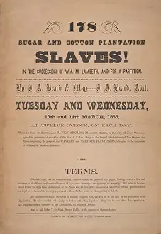 Trafficking: Poster announcing the auction of 178 sugar