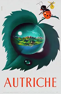 Ladybird: Poster, Austria