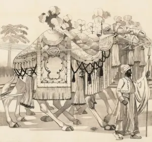 Guidance: Poster - camels walking dressed in costume