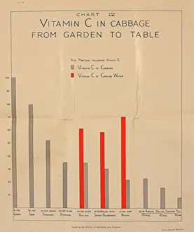 Vitamin: Poster, Chart IV, Vitamin C in cabbage, WW2