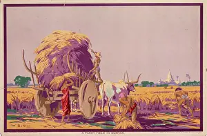 Paddy: Poster depicting a paddy field in Burma