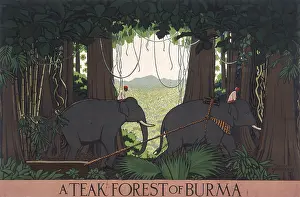 Teak: Poster depicting a teak forest in Burma