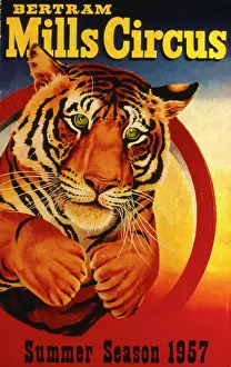 Hoop: Poster design for Bertram Mills Circus
