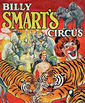 Tigers: Poster design, Billy Smart's Circus