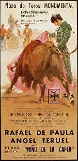 Charging: Poster design for a bullfight