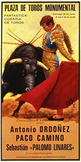Charging: Poster design for a bullfight