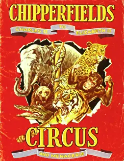 Alligator: Poster design for Chipperfields Circus