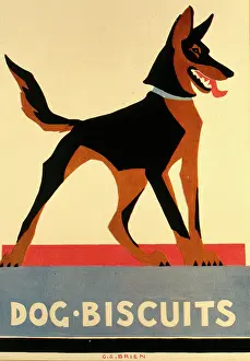 Biscuits: Poster design for dog biscuits