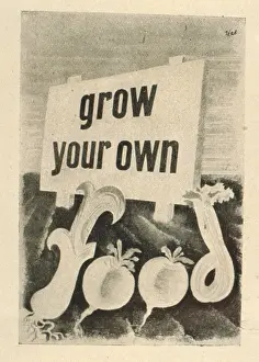 Grow: Poster design, grow your own food