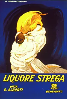 Cockatoo: Poster design for Liquore Strega