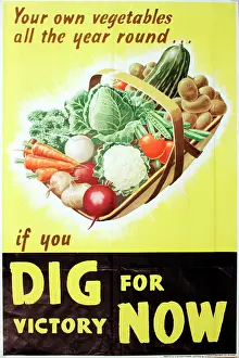 Trug: Poster: Dig For Victory Now