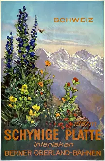 Interlaken: Poster, Interlaken, Berne, Switzerland