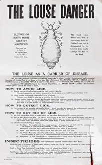 Lice: Poster Louse Danger