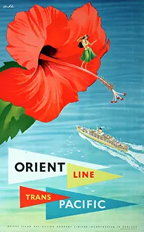 Dahl: Poster, Orient Line Trans Pacific