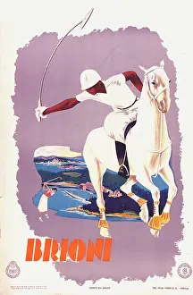 Mallet: Poster, Polo Player - Brioni