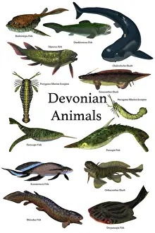 Variation: Poster of prehistoric animals of the Devonian period