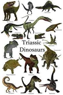Variation: Poster of prehistoric dinosaurs and reptiles during