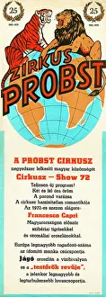 Tigers: Poster, Probst Circus, Hungary