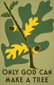 Clough: Poster promoting trees as a natural resource, ?