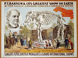 Phineas: Poster for P.T. Barnum & Circus featuring ?