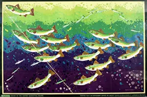 Paine: Poster, Salmon Fishing