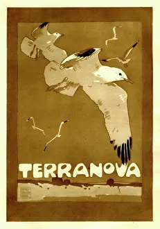 Newfoundland: A poster of seagulls, promoting Terranova