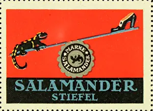 Salamander: Poster stamp Salamander boots