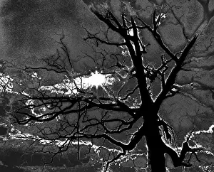 Posterization: Posterization Of Sun Peeking Through