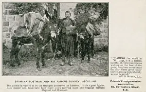 Mule: Postman from Brummana with his donkey Abdullah