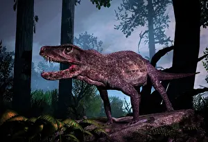 Archosauria: Postosuchus was an extinct rauisuchian reptile that lived ?