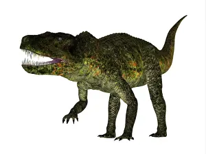 Crocodile: Postosuchus reptile, isolated on white background